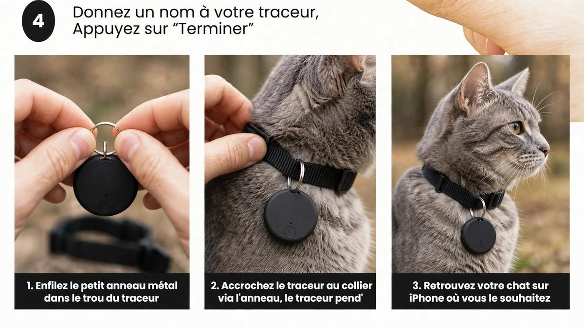 Les trois étapes pour accrocher un traceur compatible Localiser au collier d'un chat